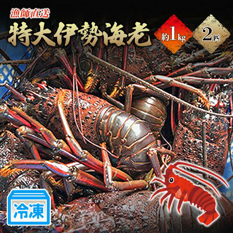 【ふるさと納税】長寿伊勢海老 冷凍 伊勢エビ 特大伊勢海老2匹で1kg! 漁師直送 伊豆今井浜 朝獲れ 急速冷凍 鮮度抜群 ボイル オーブン焼き 静岡県河津町　お届け：2026年4月中旬～12月中旬