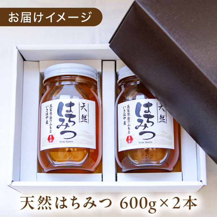 【4種から選べる】 長崎県産天然はちみつ600g×2本セット / 百花蜜 百花蜂蜜 蜂蜜 はちみつ ハチミツ / 諫早市 / 坂口養蜂 [AHDB003]