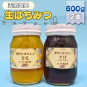 【ふるさと納税】国産 生はちみつ 600g 2本セット 百花 ソバ セット 詰め合わせ 国産はちみつ 国産ハチミツ 天然蜂蜜 はちみつ 蜂蜜 ハニー 天然国産 非加熱 食べ比べ 食べ比べセット 信州産 長野県産 信州 長野 長野県 上田市