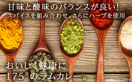 175DENOスパイスラムカレー 10袋（無水カレー180g×10）