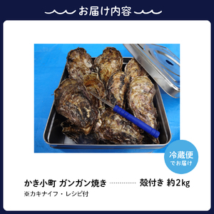 【2025年1月中旬発送】丸十水産 広島ブランド牡蠣 かき小町 ガンガン焼き 約2kg (10～14個)