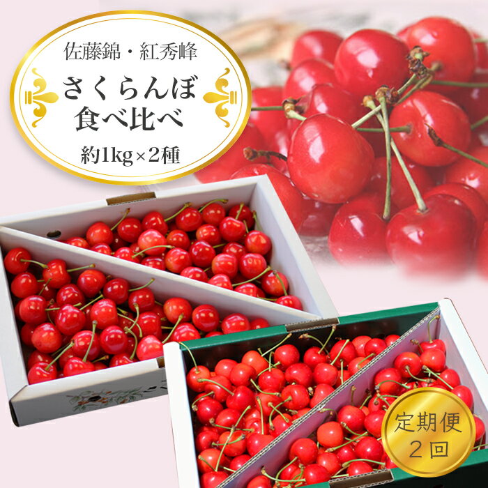 【ふるさと納税】【2026年発送】【定期便2回】さくらんぼ約1kg×2種_H177(R8)