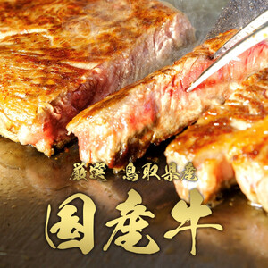 993.【和牛セレブ（6ヶ月定期便）】鳥取県産牛ヒレステーキ2枚×6か月間