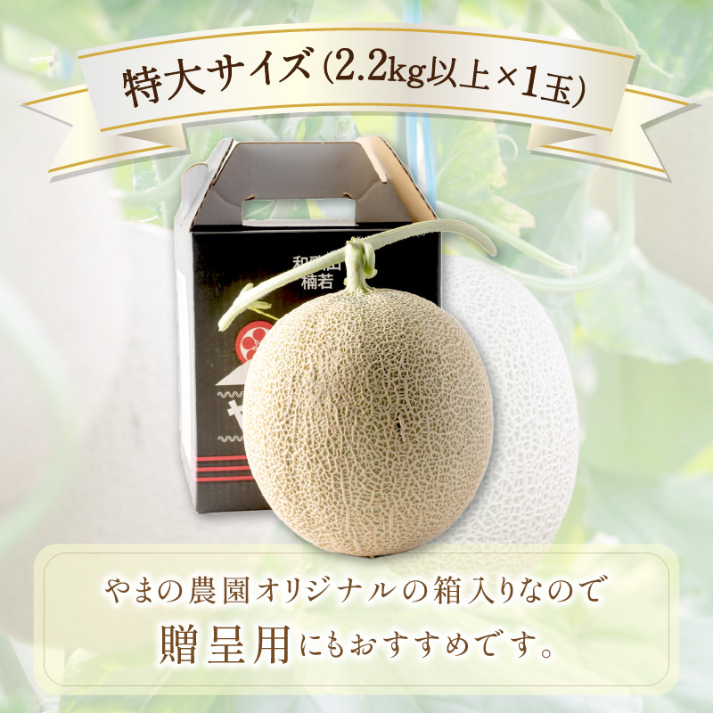 【1268】やまの農園　感謝のメロン～一期一会「うしわか」～1玉≪先行予約≫【2026年7月中旬より順次発送予定】