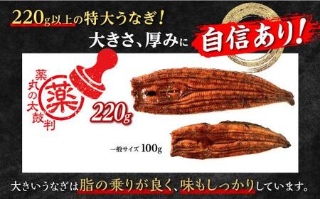 数量限定【薬丸の太鼓判】鹿児島県産うなぎ長蒲焼特大2尾（220g以上2尾）｜希少 うなぎ 鰻 ウナギ 貴重 うなぎ 鰻 ウナギ 太鼓判 うなぎ 鰻 ウナギ グルメ うなぎ 鰻 ウナギ おすすめ うなぎ
