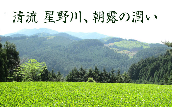 【奥八女星野村】八女茶 高級煎茶 深蒸し茶 100g×1袋＜株式会社ベネフィス＞那珂川市 [GED024]