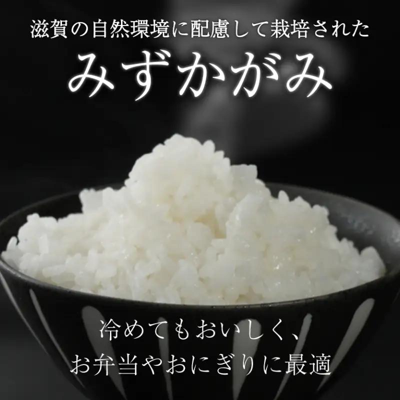 【先行予約 令和8年産】【定期便 10kg 12ヶ月】 新米 みずかがみ 新米