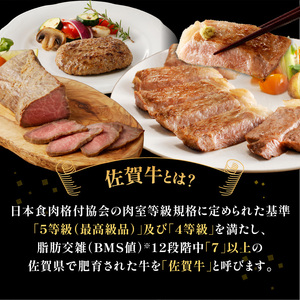 【6回定期便（偶数月）】中山牧場 厳選ギフト定期便 ／ 佐賀牛【Z114】