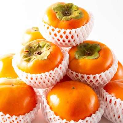 ふるさと納税 橋本市 和歌山県産　美濃農園の富有柿　12個(2Lサイズ程度) |  | 01