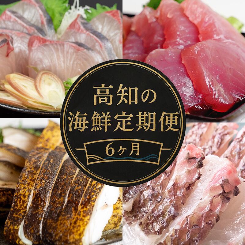 【ふるさと納税】 【 高知 の 海鮮 定期便 】 旬 海鮮定期便 6回 コース お楽しみ 高知 海鮮 かつお タタキ 鯛 タイ 勘八 カンパチ 牡蠣 カキ しらす シラス ウツボ うつぼ 貝 盛合 半年 冷凍 高級魚 魚貝 道の駅 高知県 須崎市 NS10000-x