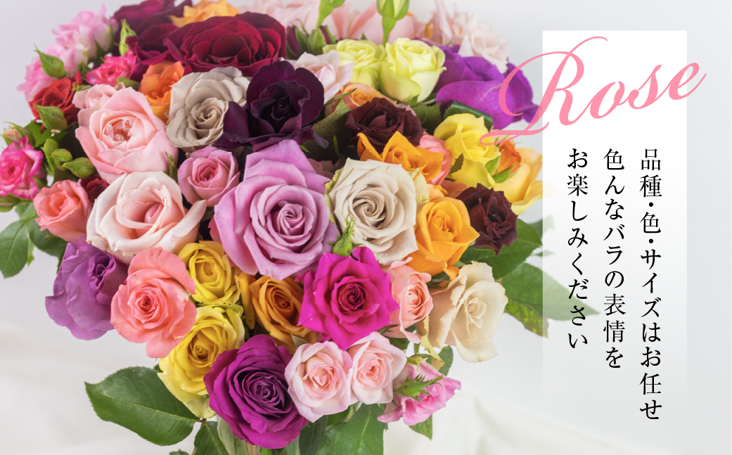 【定期便】3回お届け バラ 花束 50本 チャーミングローズ 花 ( 訳あり 規格外 ご自宅用 ) 薔薇 生花 愛知県 田原市