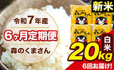 新米 米 令和7年産 森のくまさん 白米 20kg 5kg×4袋 計6回お届け 《1月から出荷開始》 お米 こめ 熊本県産 ご飯 備蓄