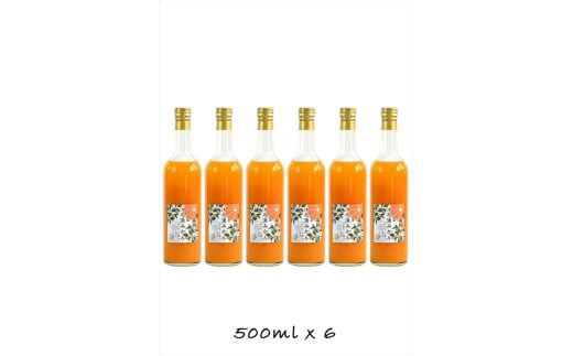 【定期便 9回】小田原産江之浦みかん１００％ストレートジュース５００ml６本 142069_GJ026