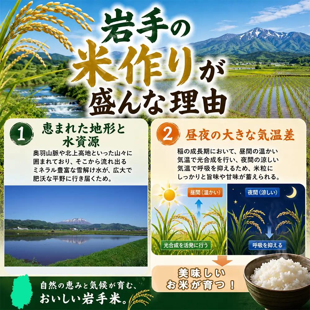 五ツ星お米マイスター 厳選 岩手県産 ひとめぼれ 精米 10kg 1袋 【諏訪商店】 米 こめ コメ 白米 ご飯 ごはん ライス グルメ 食料 五つ星 5つ星 5ツ星 お米 マイスター 10キロ 国産