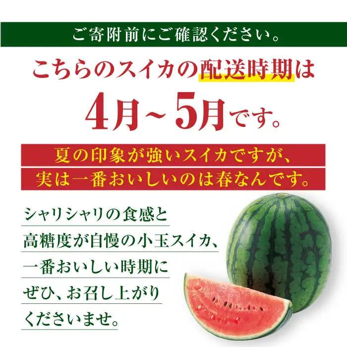 【先行予約】熊本スイカ小玉スイカひとりじめ4玉2Lサイズ西瓜すいかZCM012