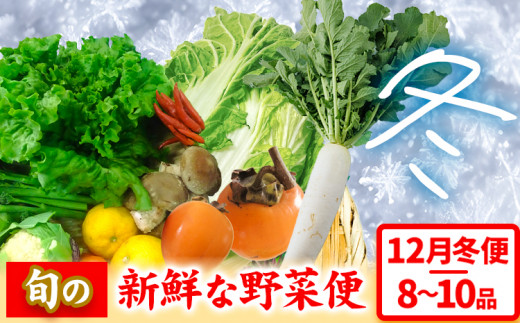 ＜先行予約＞旬の新鮮な野菜便 12月冬便 8～10品 《2024年12月上旬-1月上旬出荷》アグリサポート美馬 徳島県 美馬市 冬野菜 白菜 かぶら キャベツ 愛宕柿 柚子玉 大根 里芋 玉葱 野菜 