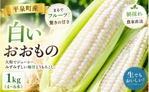 【7月下旬～8月上旬発送】 平泉町産 白い おおもの とうもろこし 1kg (4～6本) / トウモロコシ 野菜 やさい 甘い 濃厚 美味しい 【配送不可地域：九州／沖縄県／離島】
