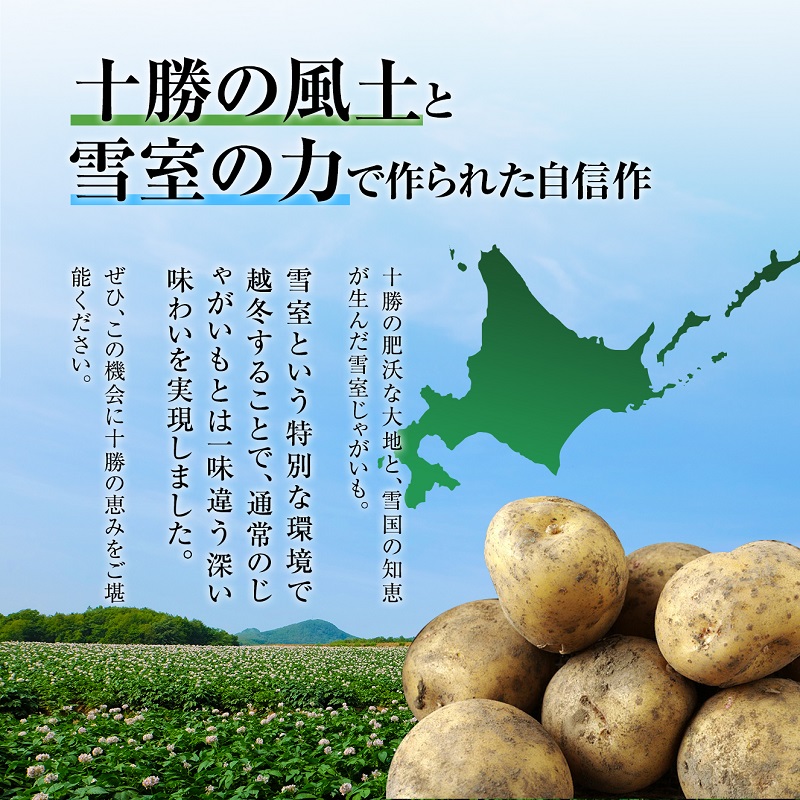 北海道産 熟成じゃがいも 北海黄金 10kg  期間限定 雪室貯蔵 十勝産 ジャガイモ じゃが芋 いも 甘い