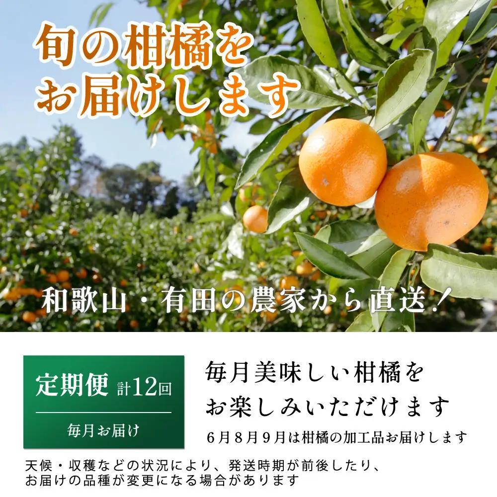 家庭用 柑橘定期便S（毎月）全12回 ［IKE300］