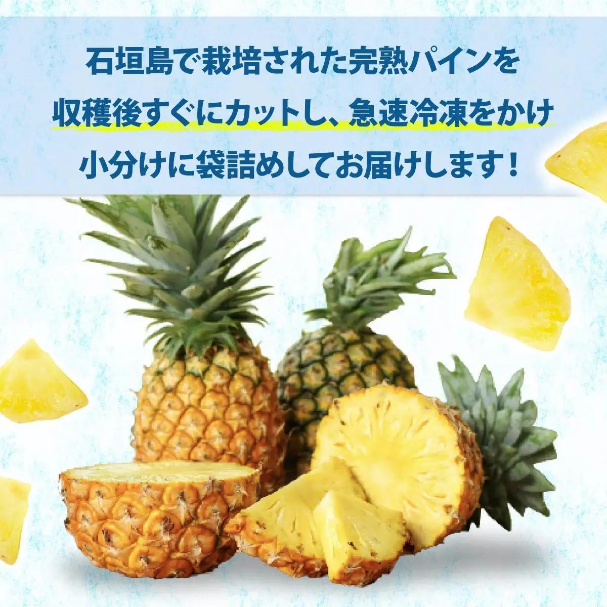 パイナップル 冷凍カットパイン（ジュワリーパイン）100g×6袋 