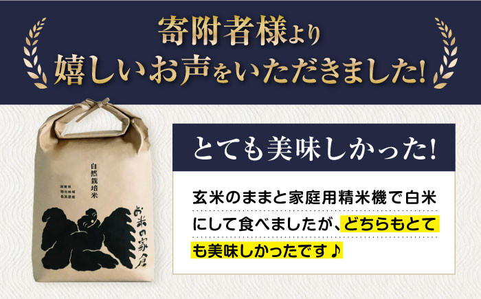 【全12回定期便】自然栽培米 滋賀旭 5kg 白米 ×12回　米 定期便 白米  5kg