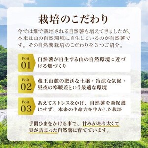 蔵王の雪下自然薯 約1.5kg【カット・切り芋】ご自宅ご家庭用・とろろもオススメ・処理済み【1674215】