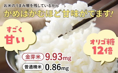 米 無洗米 金芽米 令和6年 宮城県 加美産 ひとめぼれ 特別栽培米 5kg   [ 宮城県 加美町 ]  お米 こめ コメ 精米 白米 玄米 きんめまい おすすめ 新米 ナカリ タカラ米穀 パワーラ