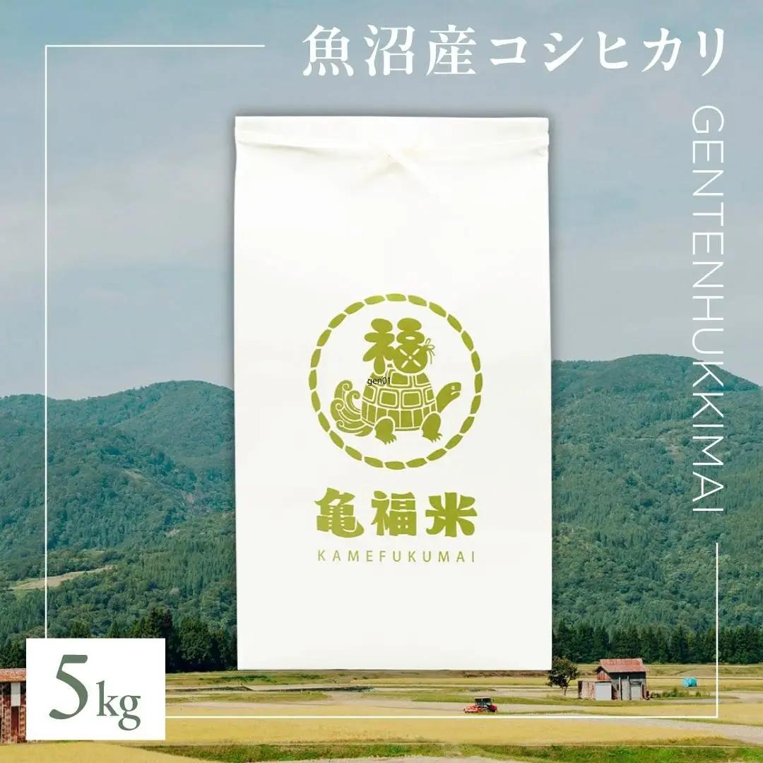 魚沼産コシヒカリ 亀福 原点復帰米 5kg 特別栽培 |津南町 魚沼 令和7年