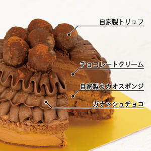 先行予約 ケーキ クリスマス用 チョコレートケーキ 1ホール ケーキ