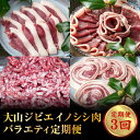 【ふるさと納税】GB-26　大山ジビエイノシシ肉バラエティ定期便（3回コース）　　ジビエ 肉 お肉 鳥取県 鳥取県産 大山町 大山 お土産 返礼品 国産 お取り寄せ ご当地