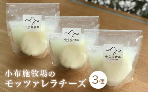 
無添加 小布施牧場の搾りたてジャージー牛乳で作ったモッツァレラチーズ 100g × 3個 ［小布施牧場］チーズ モッツァレラ おつまみ サラダ 冷蔵便 クール便 プレゼント 長野 信州 ［A-29］
