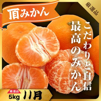 ふるさと納税 八幡浜市 【発送月固定定期便】柑橘【みかん・まどんな・せとか・ニューサマーオレンジ】【H31-46】全4回 |  | 03