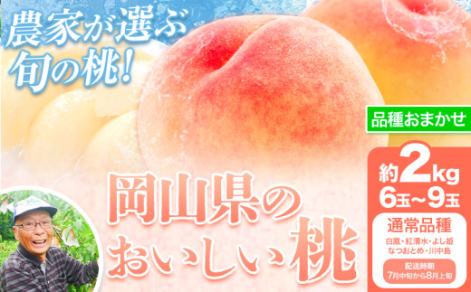 【先行予約】【7月中旬〜8月上旬頃出荷】桃 通常品種 2kg もも 岡山 白鳳 紅清水 よし姫 なつおとめ 川中島白桃 岡山県 笠岡市 送料無料 果物 フルーツ お取り寄せ