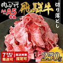 【ふるさと納税】 【発送時期が選べる】高評価★4.57 飛騨牛 切り落とし 250g A5 A4 国産 牛 冷凍 お試し 和牛 牛肉 切落し 切り落し 訳あり 牛丼 すき焼き しゃぶしゃぶ 東白川村 岐阜 飛騨 贅沢 霜降り ロース バラ もも ウデ 肉のひぐち 5000円 五千円 ふるさと納税