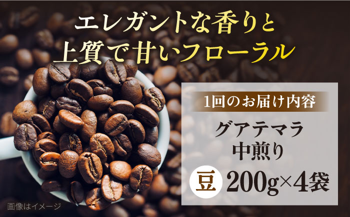 【全6回定期便】コーヒー豆 自家焙煎 中煎り グアテマラ 200g×4 TSUKIKOYA COFFEE ROASTER ツキコヤ【株式会社RUINS】 [AKAD014]