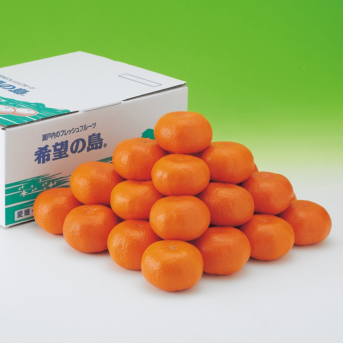 【11月下旬頃から発送予定】温州みかん 5kg 愛媛 中島産 希望の島 家庭用 みかん 柑橘