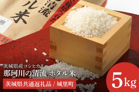 【数量限定】【令和7年産】茨城県産コシヒカリ 那珂川の清流 ホタル米5kg（茨城県共通返礼品/城里町）【お米 ごはん こしひかり おいしい 白米 茨城県産 水戸市】（IH-5102）