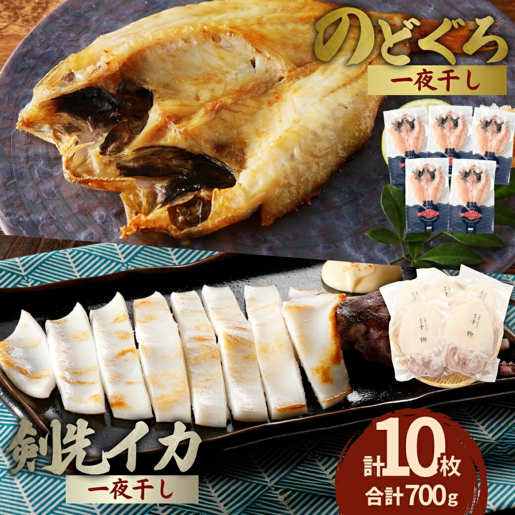 【ふるさと納税】食塩のみで味つけしたノドグロと真イカの一夜干し合計10枚（約700g） 産地直送 干物 魚 人気 天然 ボリューム のどぐろ 白いか 焼くだけ ふるさと納税 一夜干し【005_1972】