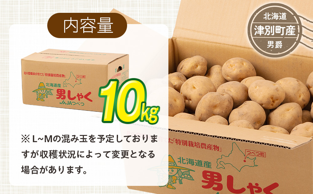 R7年産先行受付 じゃがいも 10kg 特別栽培（男爵） | ジャガイモ 芋 男爵 馬鈴薯 大容量 新鮮 野菜 煮物 カレー シチュー ポテト 保存 特産 産地直送 北海道 津別町 送料無料