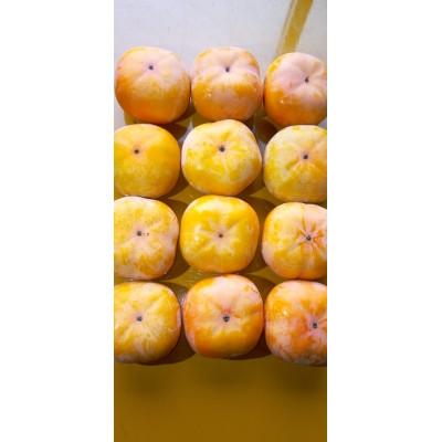 ふるさと納税 あきる野市 あきる野産　次郎柿　2kg |  | 01
