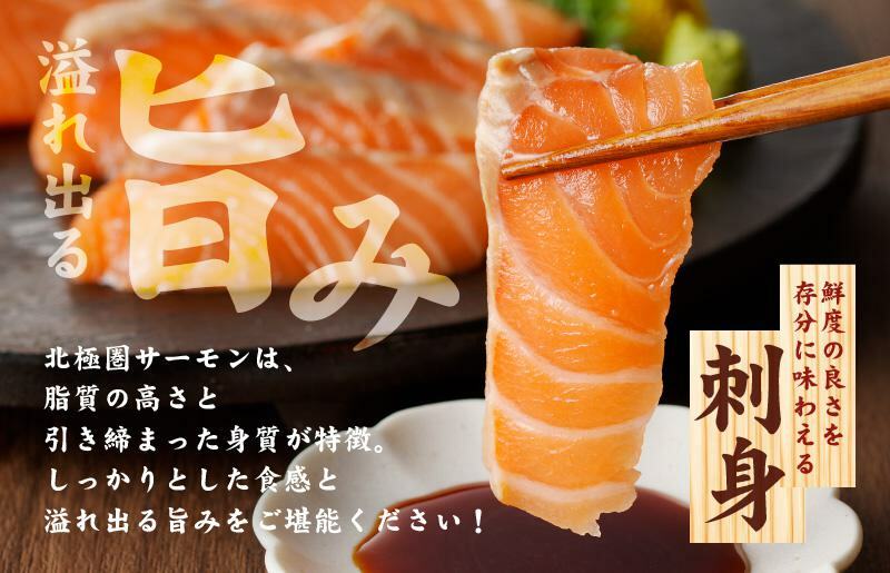北極圏サーモン ポーション 700g【小分け 350g×2P 海鮮丼 人気 オススメ 小分け 冷凍 簡単調理 一人暮らし 東洋冷蔵】 010B1329_イメージ4