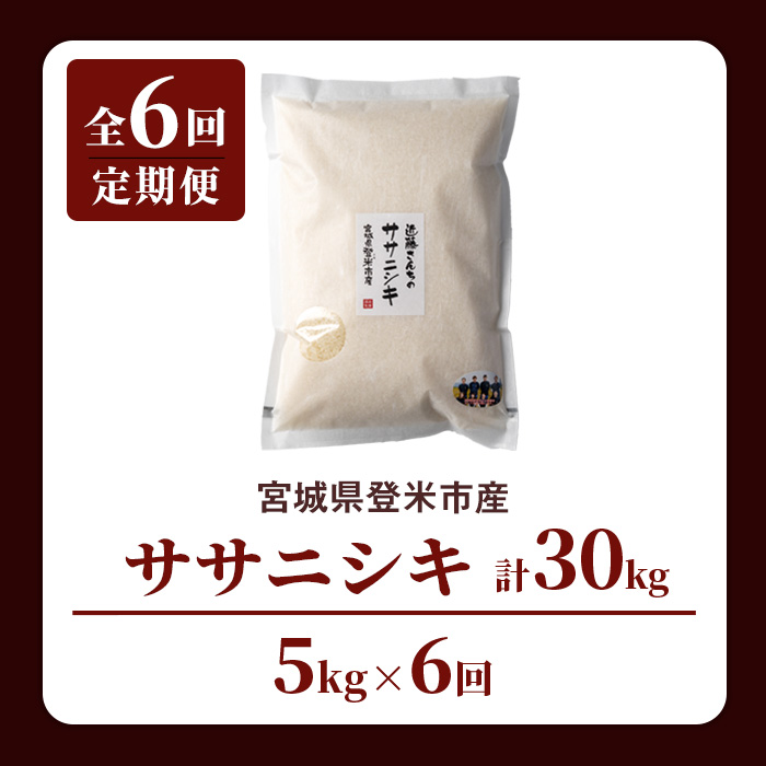 【6回定期便】≪令和7年産≫ ササニシキ 精米 計30kg(5kg×6回) 宮城県登米市産 お米 おこめ 米 コメ 白米 ご飯 ごはん おにぎり お弁当 6か月 頒布会【株式会社近藤農産】tm509