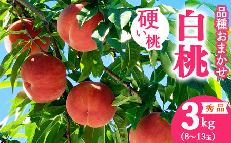 令和8年産 先行予約 有機質肥料栽培 硬めの 白桃 3kg（8～13玉） 秀品 品種おまかせ 山形県産 【2026年8月下旬頃～10月上旬頃発送予定】　016-B-AF025