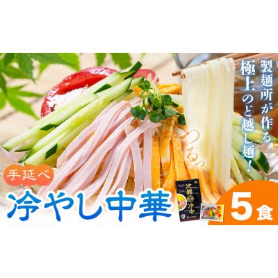 ふるさと納税 矢掛町 冷やし中華 5食セット 池田製麺所《30日以内に出荷予定(土日祝除く)