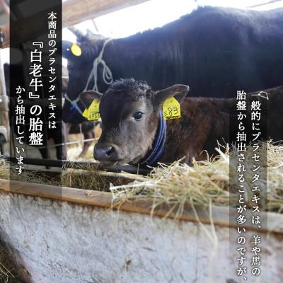 ふるさと納税 白老町 【2025年5月上旬発送】【白老産】生プラセンタ美容液〜アヨロのピリカ〜 |  | 02