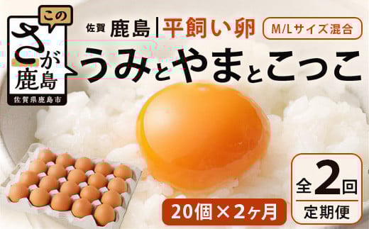 
            定期便 佐賀県鹿島産 平飼い卵 うみとやまとこっこ 上田養鶏場 たまご 卵 平飼い 20個 × 2回 産地直送 熨斗 贈与 ふるさと納税 佐賀県 鹿島市 B-396
          
