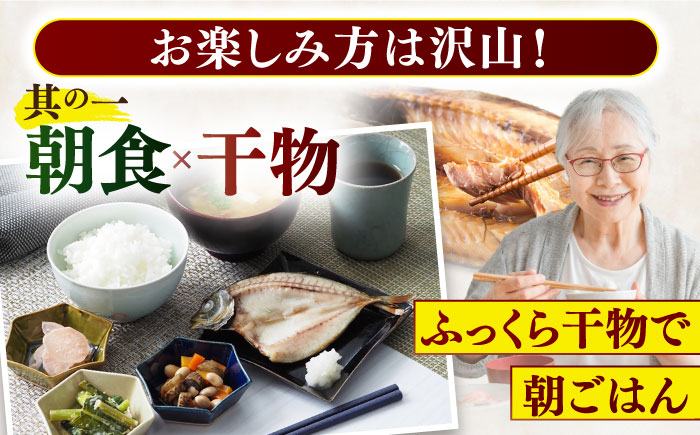 【12回定期便】お試しひものセット【有限会社　篠崎海産物店】[KAD128]/ 長崎 平戸 魚介類 魚 干物 一夜干し 開き あご干物 あじ干物 さわら干物 さば干物 定期便