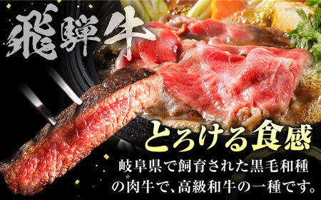 【A5】特選サーロインステーキ・ロースすき焼き用セット 計1kg [AVAG003]飛騨牛牛肉