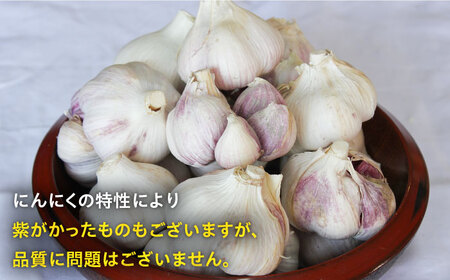 にんにく サイズ混合 約1.3kg【一ノ瀬農園】ニンニク ガーリック にんにく ニンニク ガーリック にんにく 九州 佐賀県 白石町 [IBQ001]