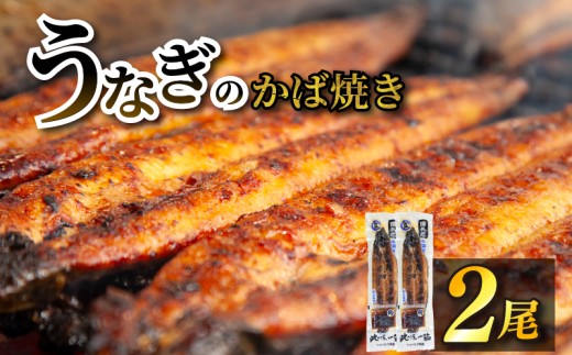 【江口商店うなぎのかば焼き】 2尾 こだわり親父の備長炭手焼き 江口商店 ｜ うなぎ 鰻 国産 長蒲焼 国産 うなぎ 鰻 ウナギ 蒲焼き 蒲焼 かばやき 魚 魚介 魚貝 海鮮 うな重 ひつまぶし 蒲焼 ギフト 人気 おすすめ福岡県 柳川市